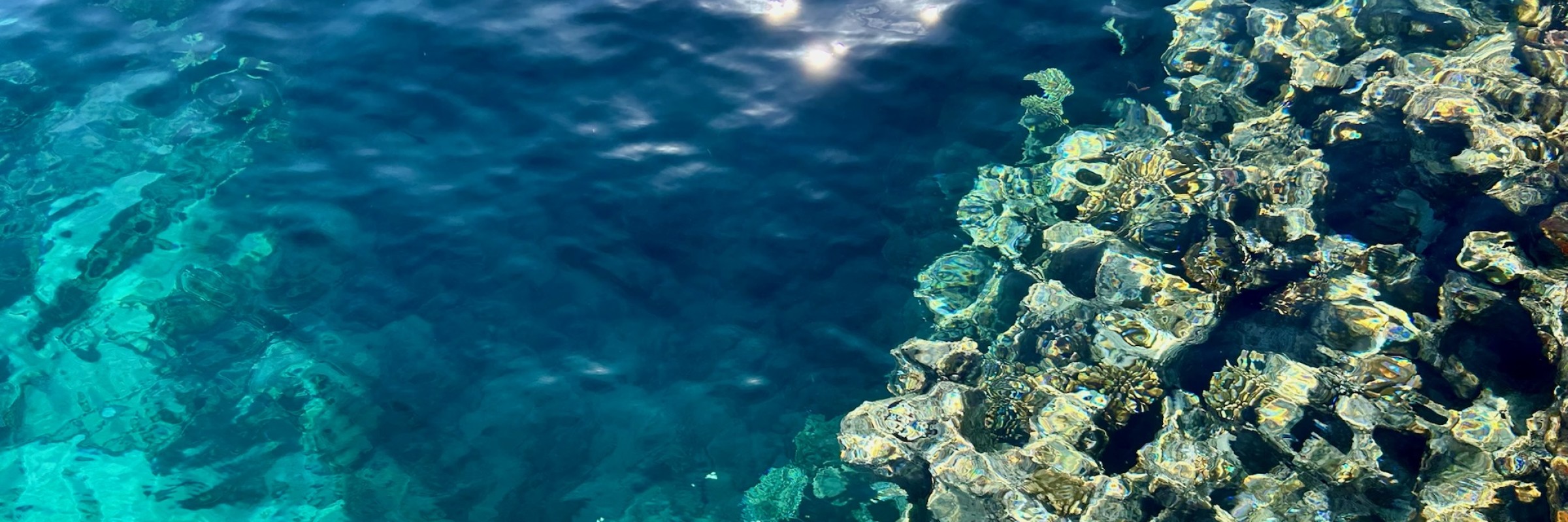 The Red Sea