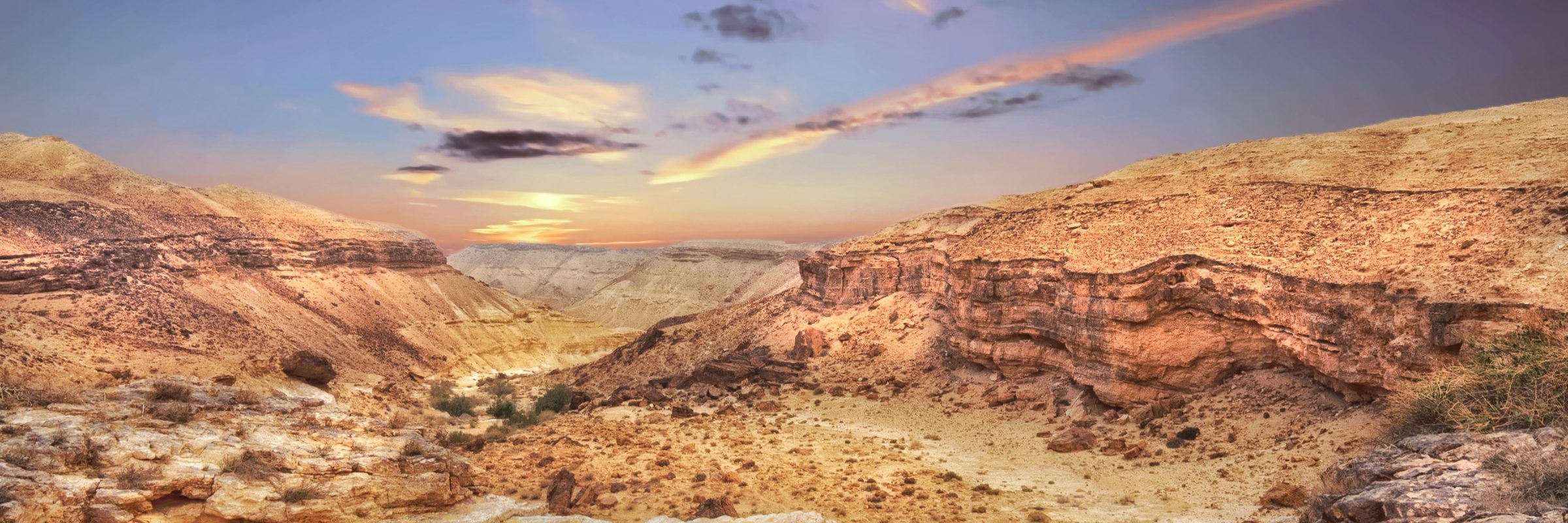 Negev